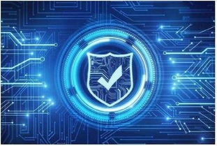 如何确保独立服务器安全性能 网络科技开发者的实践指南