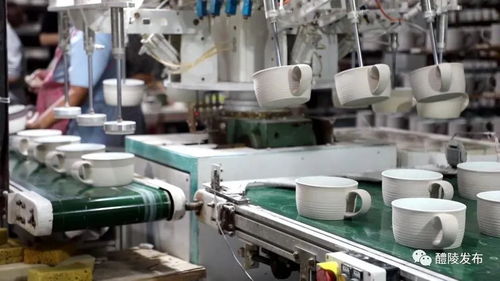 醴陵企业荣膺国家级示范点 网络科技技术开发的卓越典范