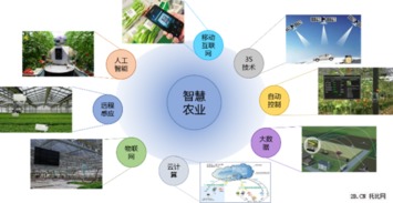互联网+农业 托比研究2015年B2B行业报告
